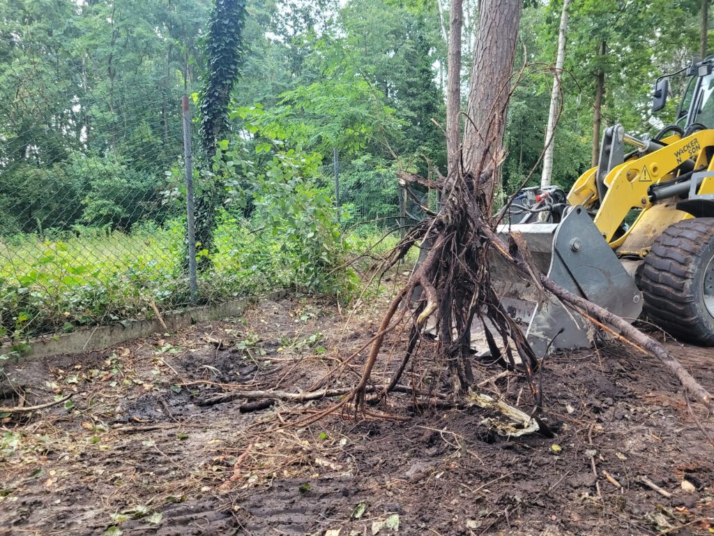 Czyszczenie działek